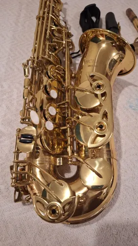 Sax Alto Michael WASM35 (DISPENSA COMENTÁRIOS)