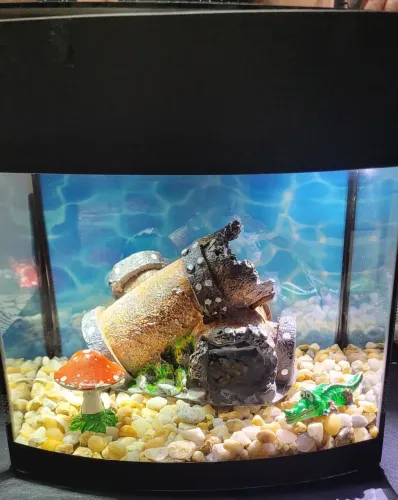 Aquário de vidro com decoração.