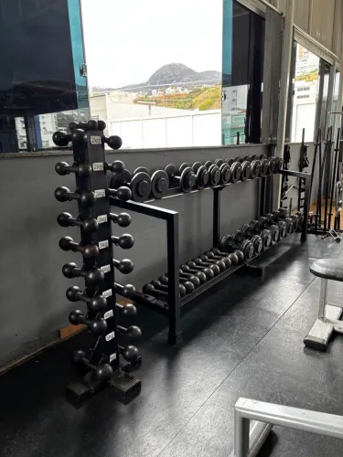 Anilhas, halteres, dumbels e barras?