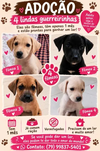 Adoção Responsável