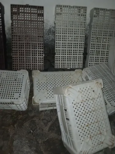 Caixas de VERDURAS reforçadas polipropileno