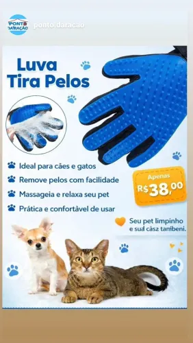 Luva tira pelos ( pet)