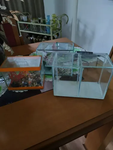 Vendo aquários para peixe Beta