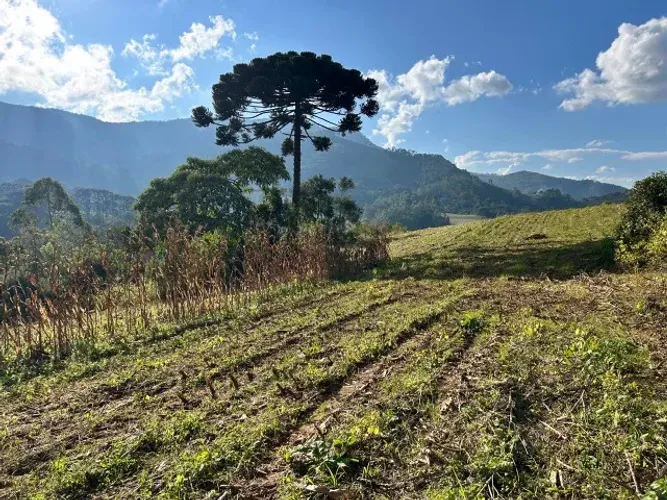 Incrível sítio de 5Ha no alto da Mantiqueira!! Marmelópolis MG