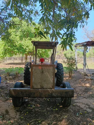 Trator Massey Ferguson 55 X