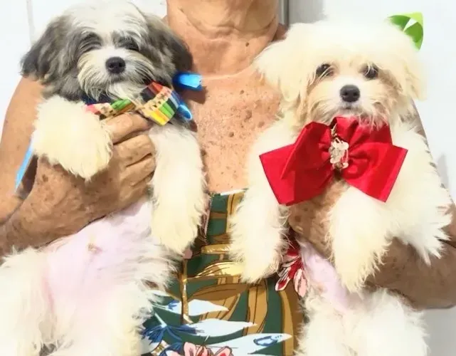 Lindos bebês Esmerada