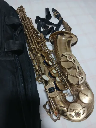 Sax alto Shelter 