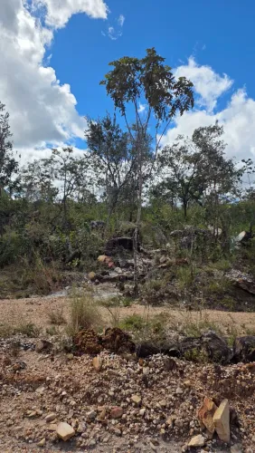 FAZENDA PARA LOCAÇÃO - 1.050 HECTARES | GOIÁS / TOCANTINS