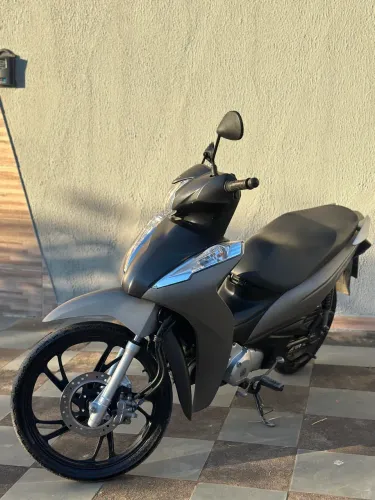 Biz ex 2023 2024