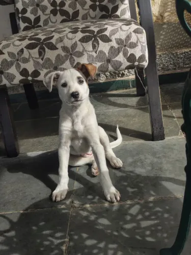 Doa-se