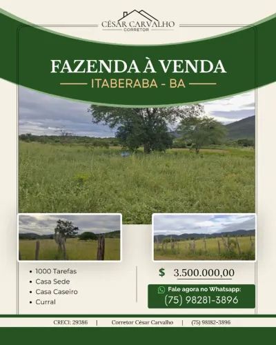 FAZENDA EM ITABERABA - 1000 TAREFAS