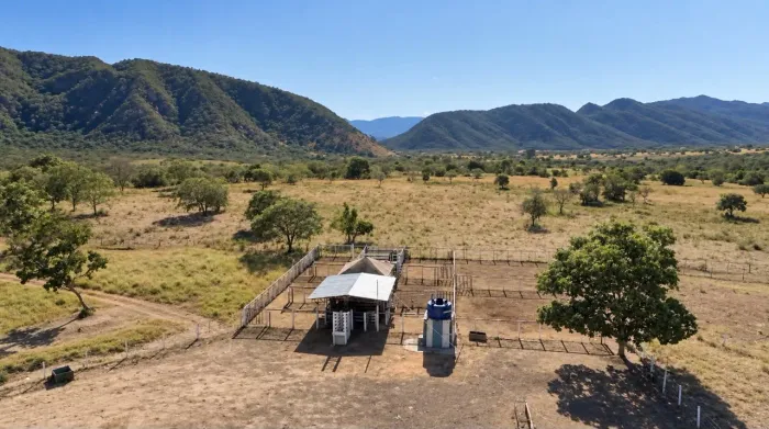 FAZENDA À VENDA EM NIQUELÂNDIA - GO | 204 ALQUEIRES | PECUÁRIA E LAVOURA