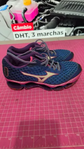 Mizuno prophecy 4