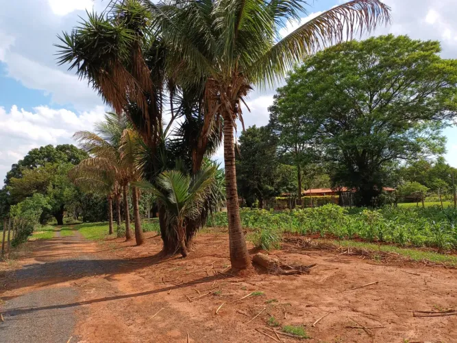 Vendo linda chácara ( porteira fechada) com área de lazer completa e 2 casas. 