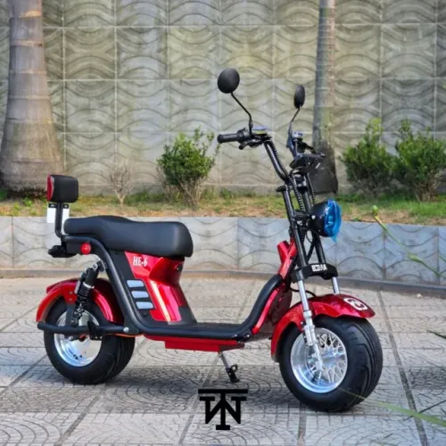 Scooter HE-6 1000w