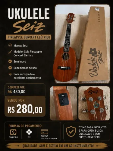 Ukulele Seizi Pineapple concert