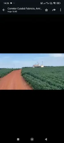 Fazenda de arrendamento 900hec planta do em Apiacás, MT.