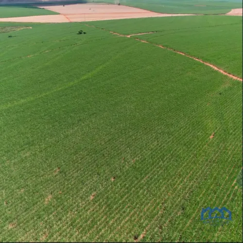 Sítio/Fazenda à Venda, 380 alqueires por R$ 55.110.000 Cód. ch2311