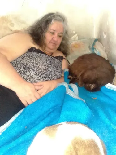 Ajude os gatos de dona Silvia estão sem ração ela teve um AVC pode visitar