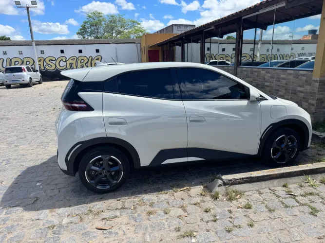 Alugo Dolphin Mini - 100% elétrico