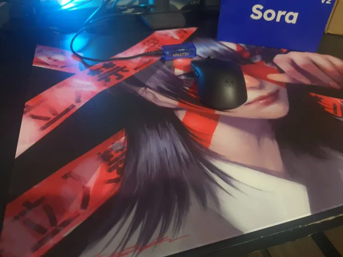 Mouse ninjutso sora v2
