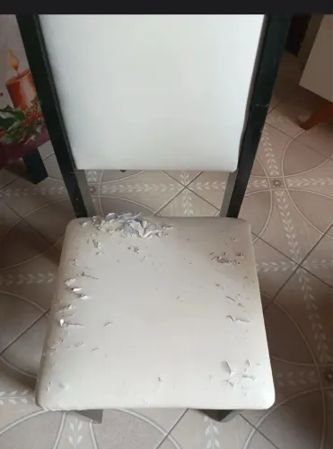 Serviço de cadeiras em geral 
