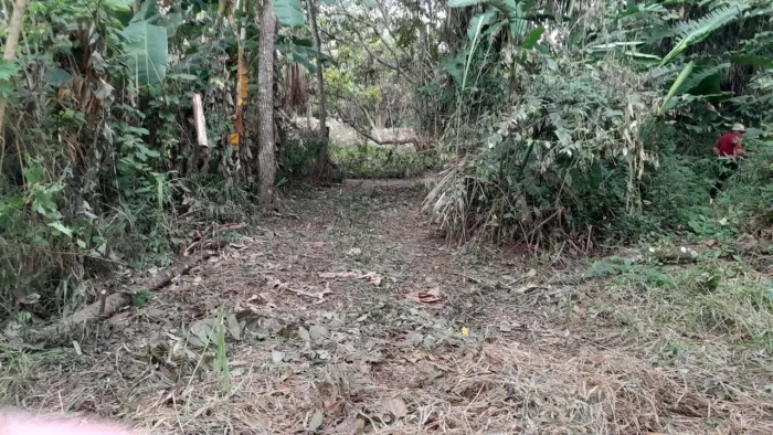Vendo chácara 30 de frente 100 de fundo