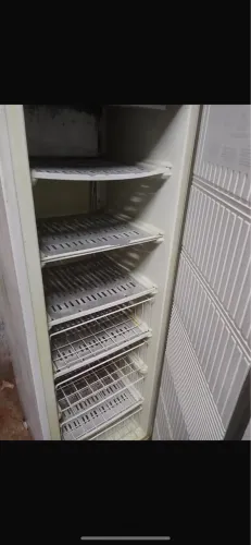 Freezer vertical