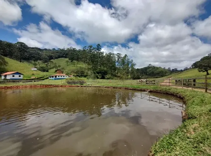 FAZENDA DE 40 HECTARES À VENDA - CORREIA DE ALMEIDA - BARBACENA/MG