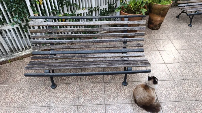 Banco de madeira Jardim/Praça