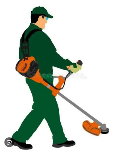 Serviços de limpeza de terreno jardinagem em geral! Pequenos Fretes também!