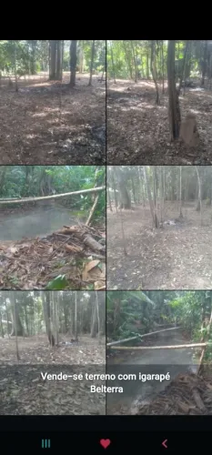 vendo ou troco terreno com igarapé em belterra, por casa.