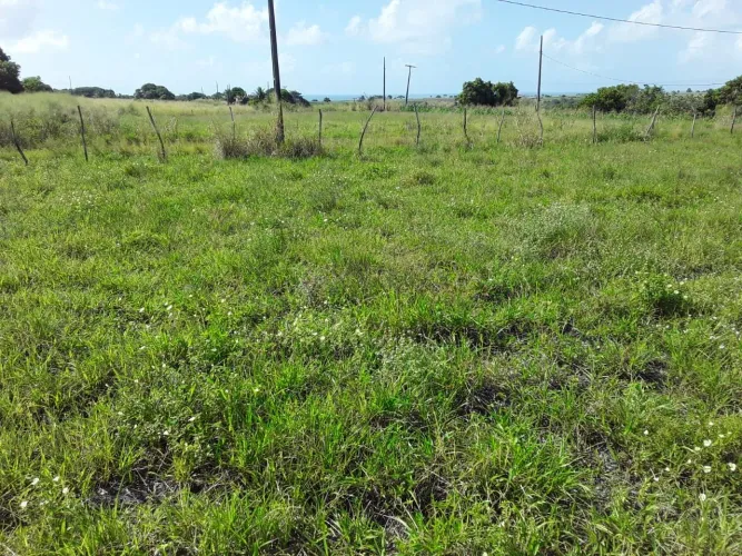 Terreno à venda, 1980 m² por R$ 80.000,00 - Pitimbu - Pitimbú/PB