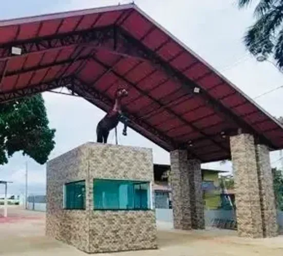REPASSO- LOTES CHÁCARAS DA FAZENDA- Imperdível