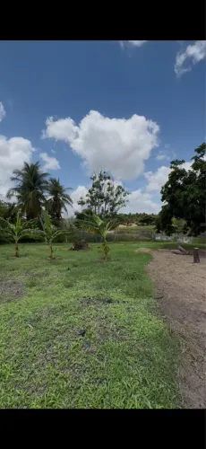 Linda propriedade p/ chácara