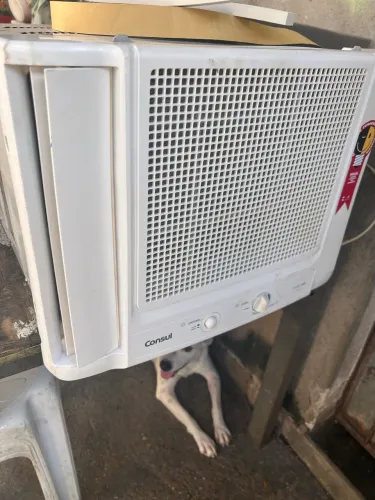 Vendo um ar-condicionado 7500 Btu esfriando bem por 250 reais marca cônsul