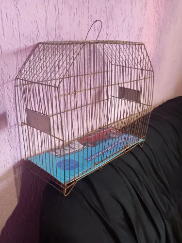 Gaiola boa