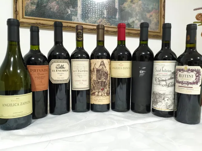 Vinhos Argentinos 