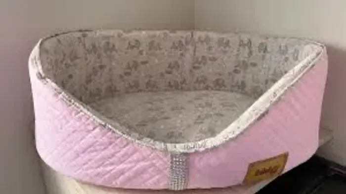 Caminha para pet