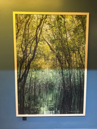 Quadro vegetação 