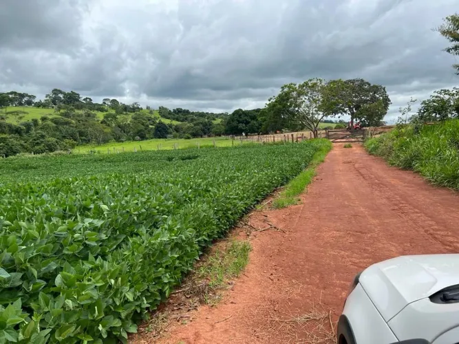 Chácara em Anicuns