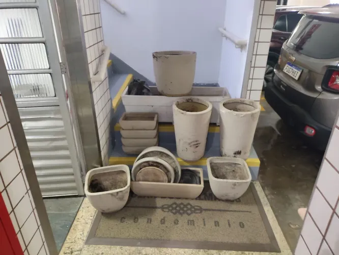 Vasos para decoração..