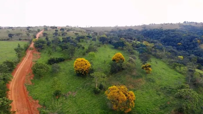 Glebas de 20.000m² a 50 minutos de Belo Horizonte