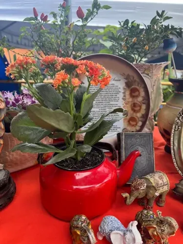 Panela, caldeirão, bule e chaleira em ferro 
