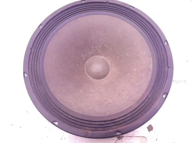 Alto-falante profissional 12 pol 200 watts