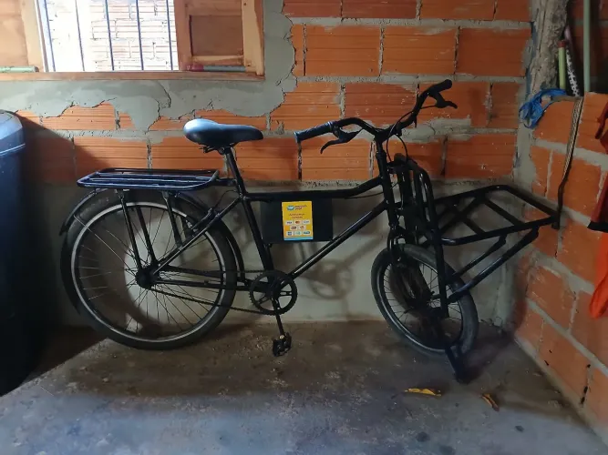 Bicicleta Cargueira
