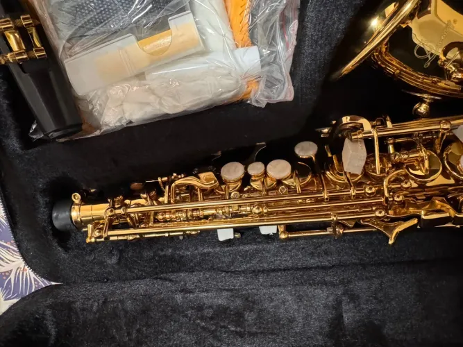 Sax Soprano curvo dourado DIMAVERY, NOVO