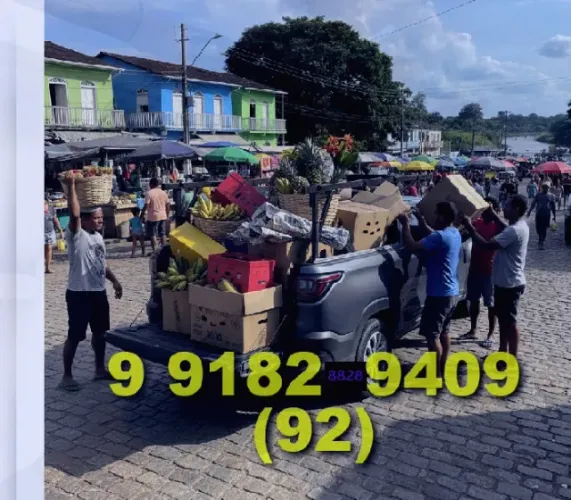 Frete/Mudança: motorista experiente