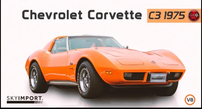 Chevrolet Corvette 5.7/ 6.0, 6.2 Targa/stingray 1991