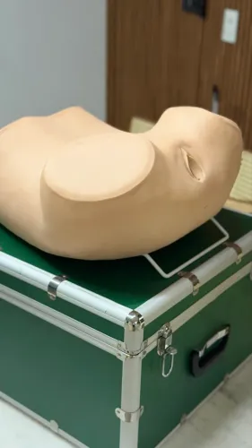 Simulador Ginecológico - Úteros Saudáveis e Patológicos para Treinamento
